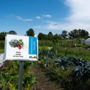 A sign on a stake in the middle of a farm field has an illustration of a beet with the words in several languages.