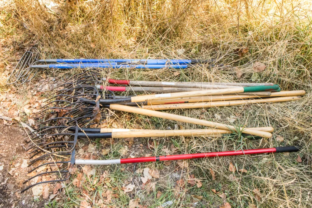 A pile of rakes strewn across brown grass.
