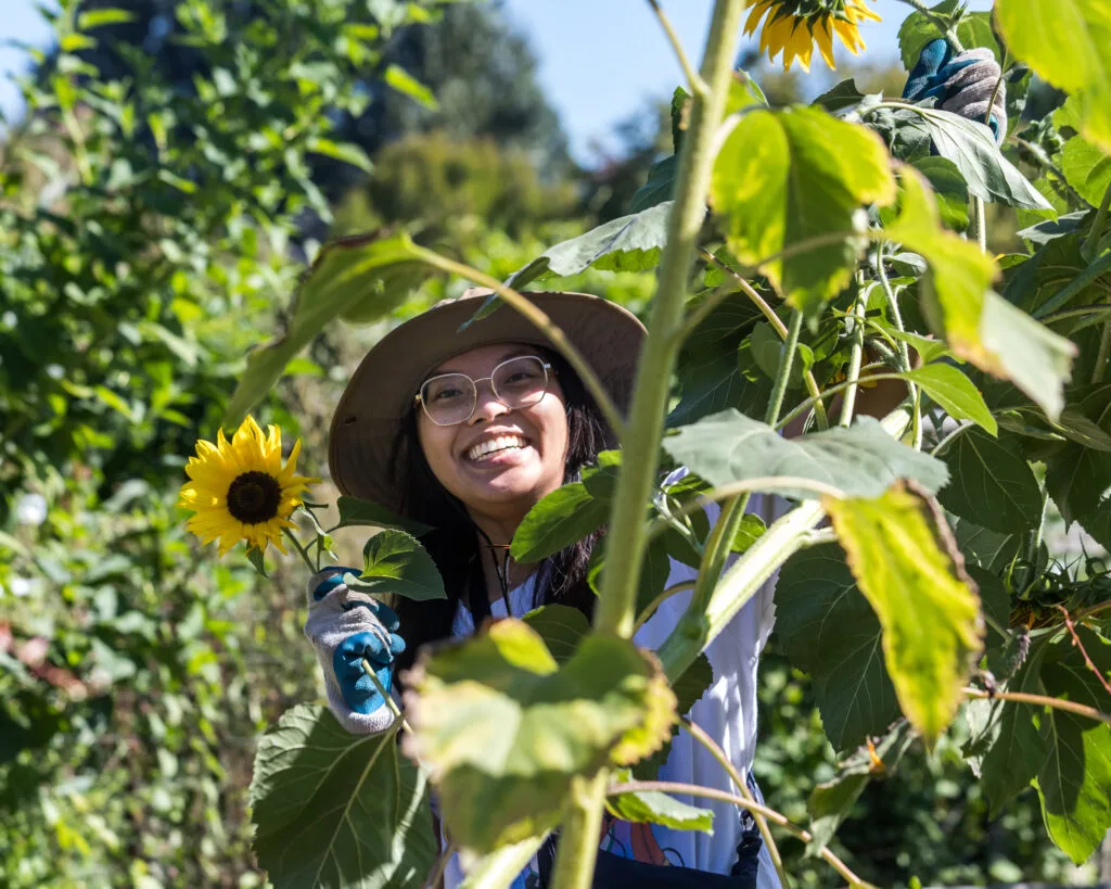 A woman in a sunhat and glasses smiles from behind a tall sunflower.