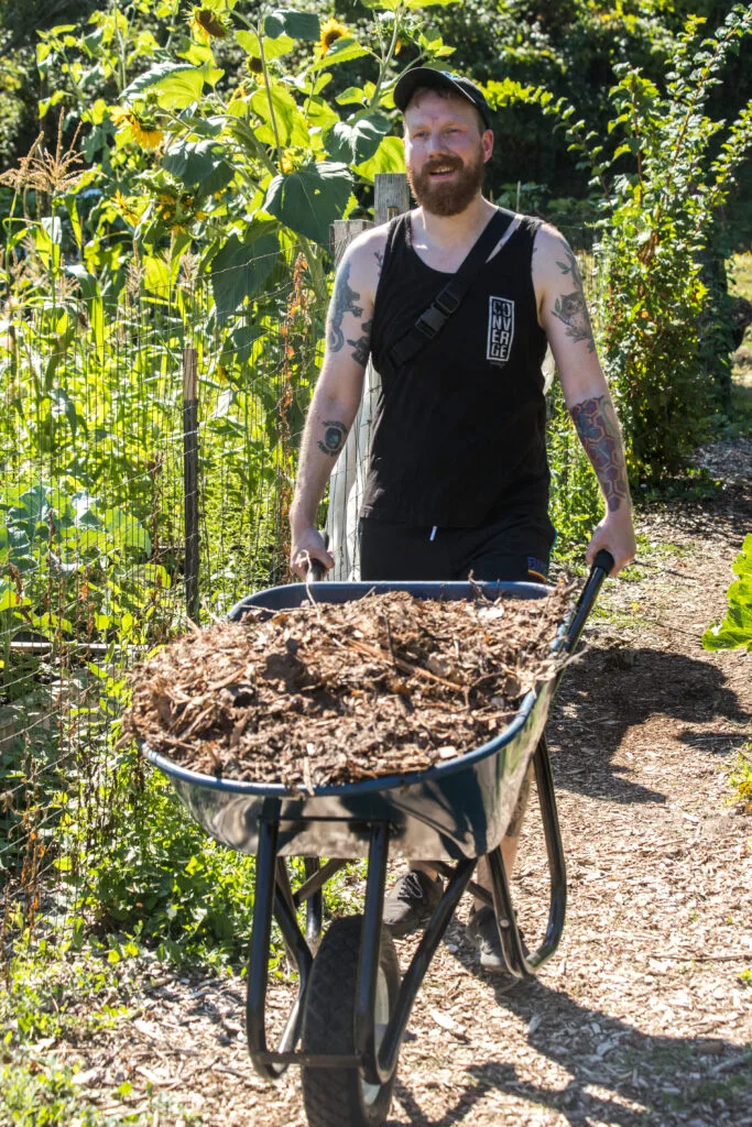 A volunteer in a black tanktop and cap pushes a wheelbarrow between tall rows of plants.