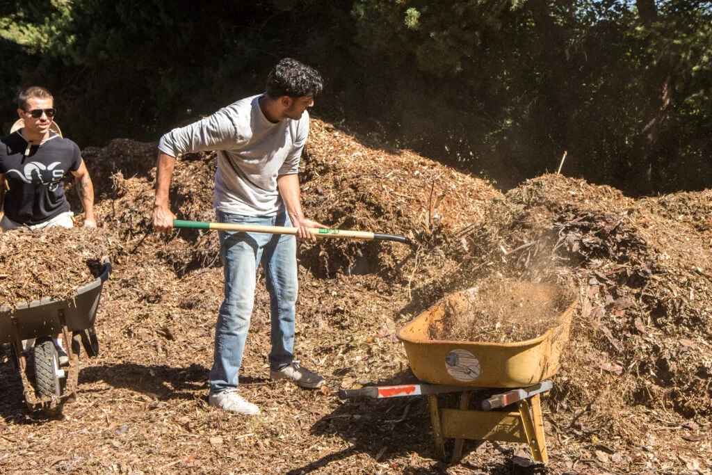 A group of volunteers shovel mulch from a giant pile into wheelbarrows to cart away.