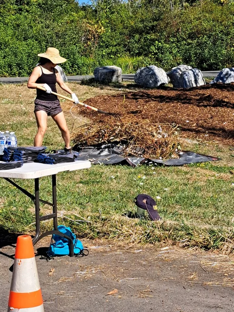 A volunteer in a sun hat spreads mulch with a rake.