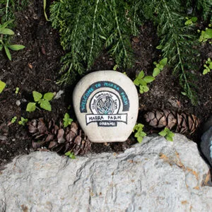A stone painted with the Marra Farm logo, placed on the ground by a rock and some plants